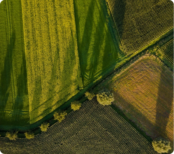Contabilidade Estratégica para o Agronegócio